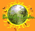 Spirogyra Butterfly Garden